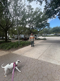 Superior Landscaping & Lawn Service photo