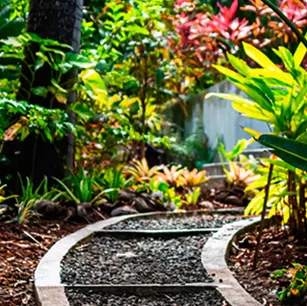 Superior Landscaping & Lawn Service photo