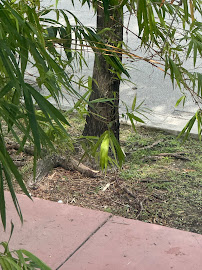 Superior Landscaping & Lawn Service photo