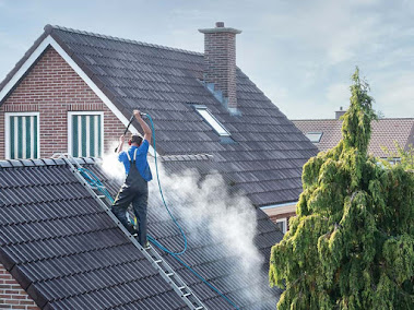 roof soft washing Loganville photo