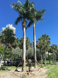 best landscape design Miami
