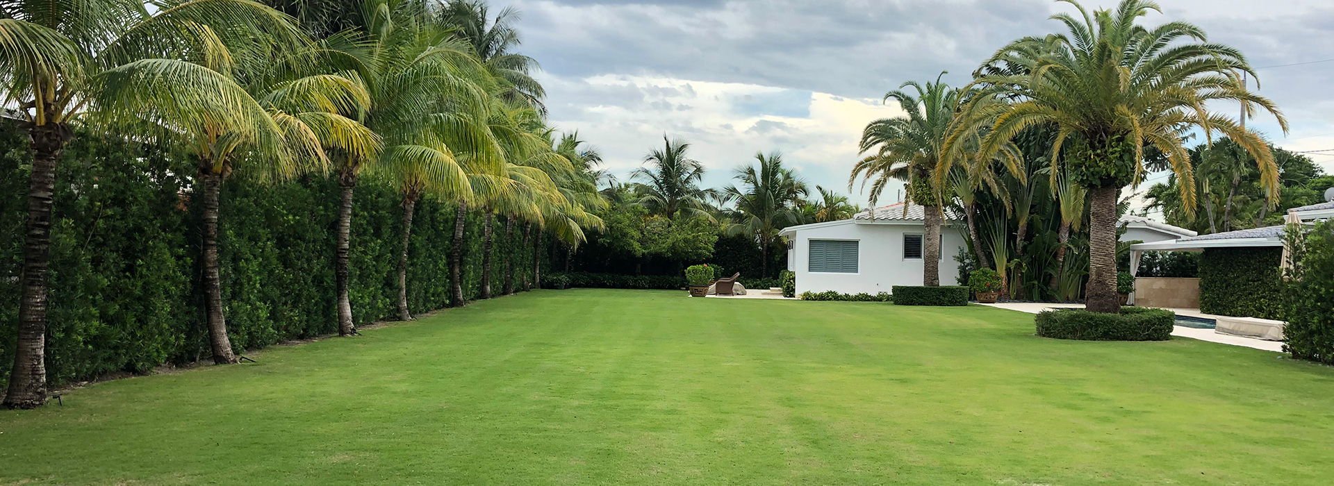 commercial landscaping Miami FL photo