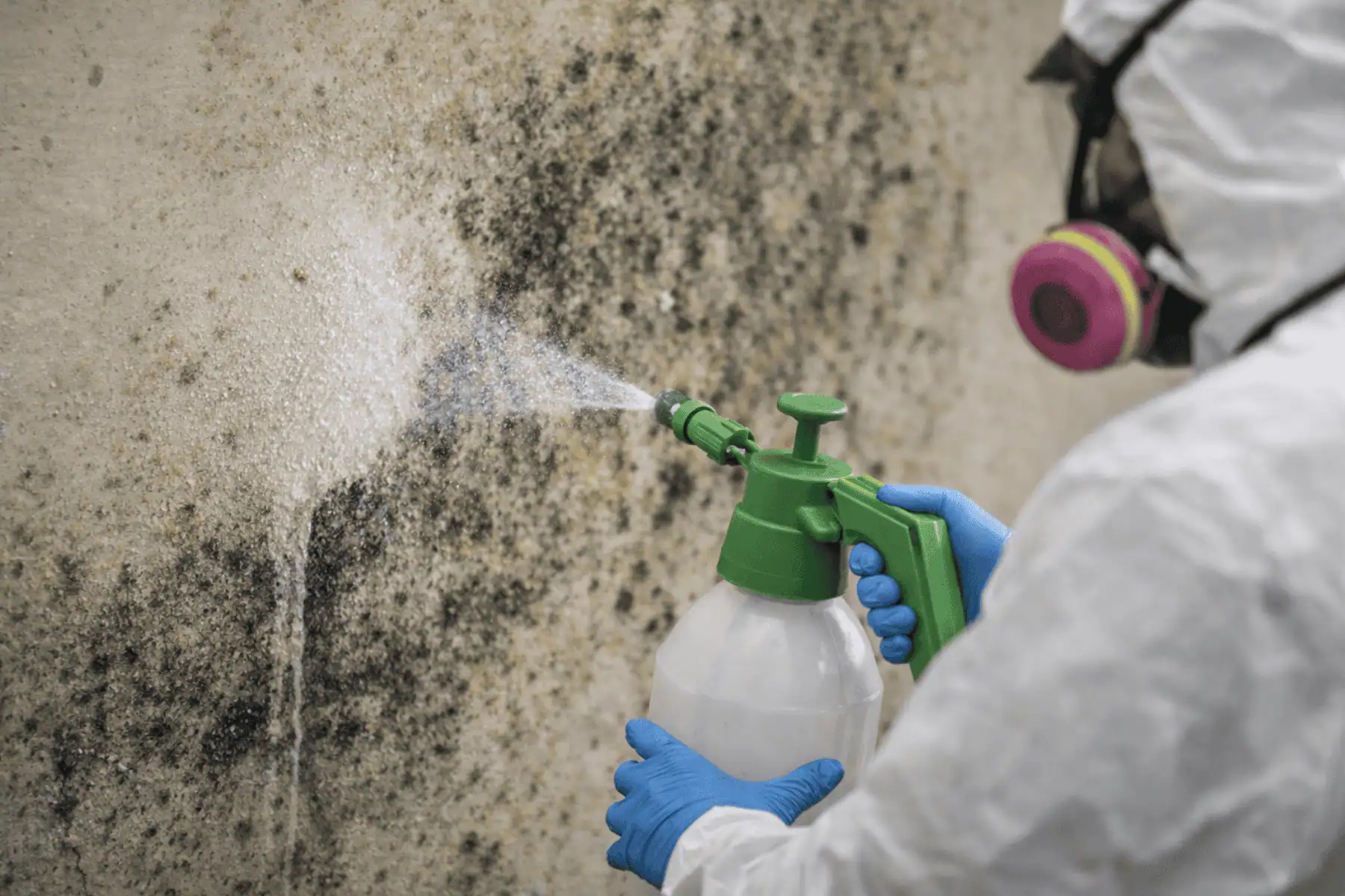 commercial mold testing Baltimore photo