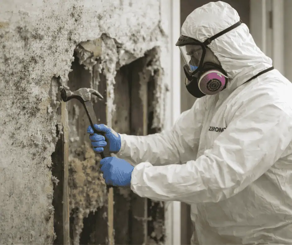 commercial mold testing Baltimore photo