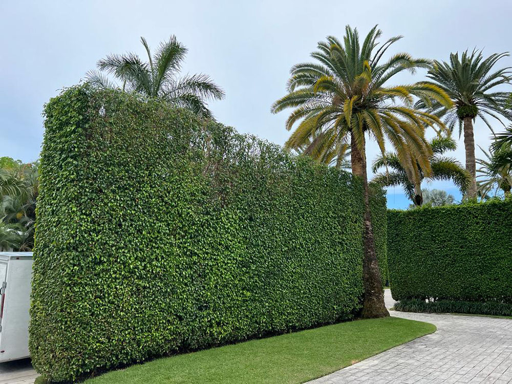 experienced landscapists Gaston Landscaping Services, LLC