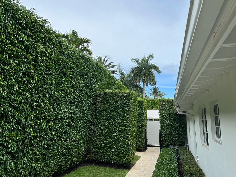 Gaston Landscaping Services photo