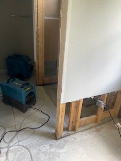 mold remediation Austin