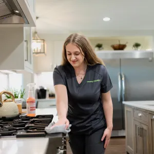 vacation rental cleaning Southern Highlands photo