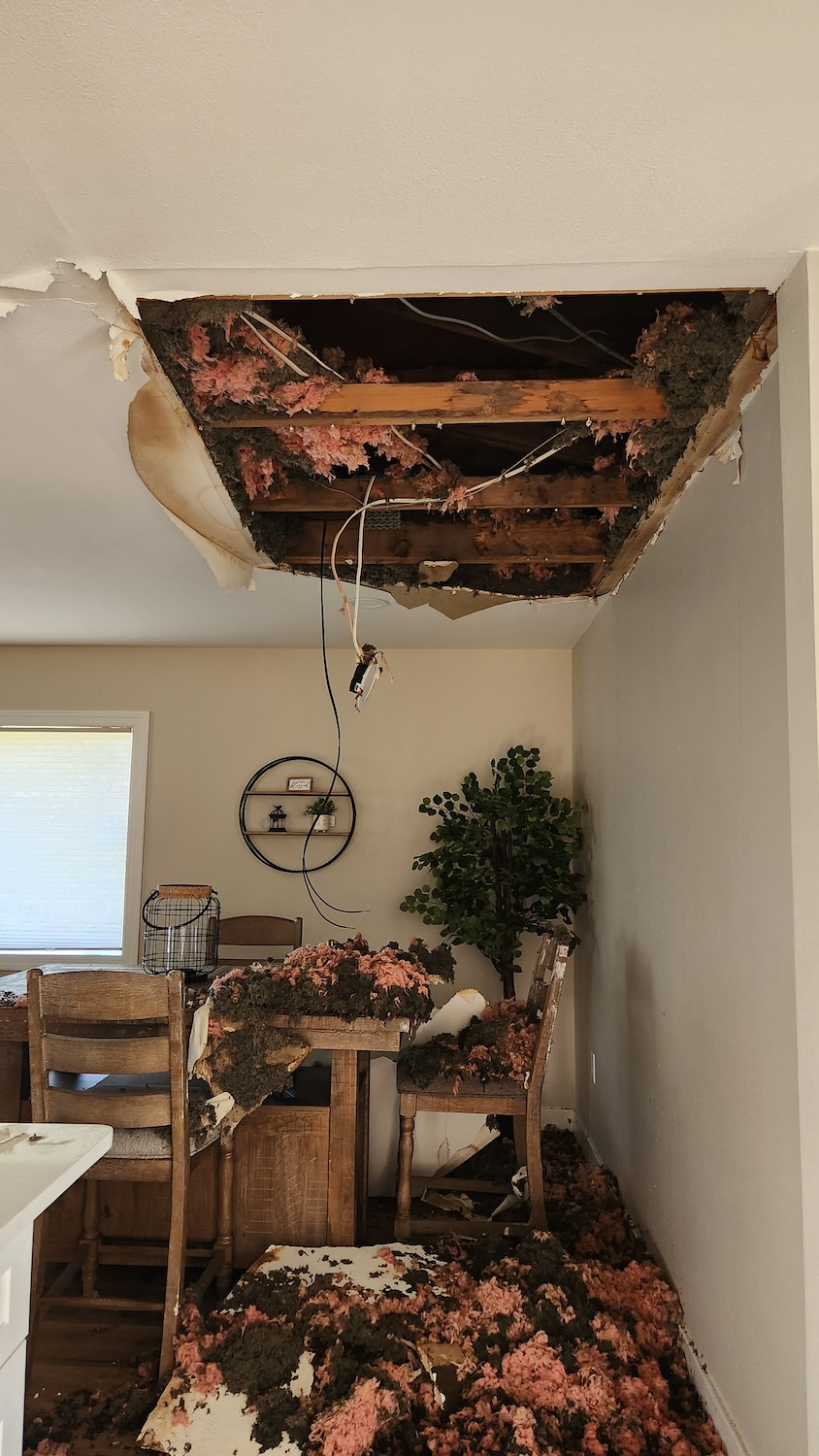 flood damage repair in Phoenix photo