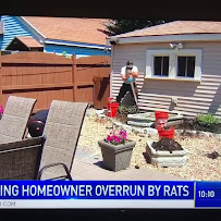 pest control in surrounding suburbs photo