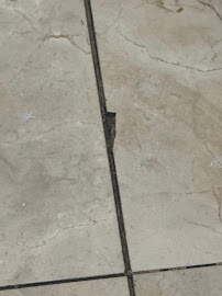 foundation repair company Katy photo