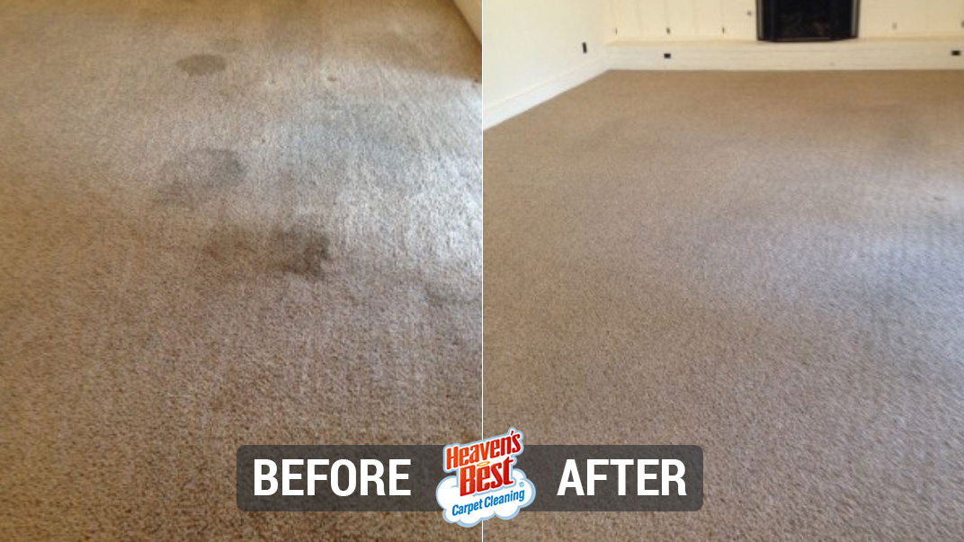 dry in one hour carpet cleaning Austin photo