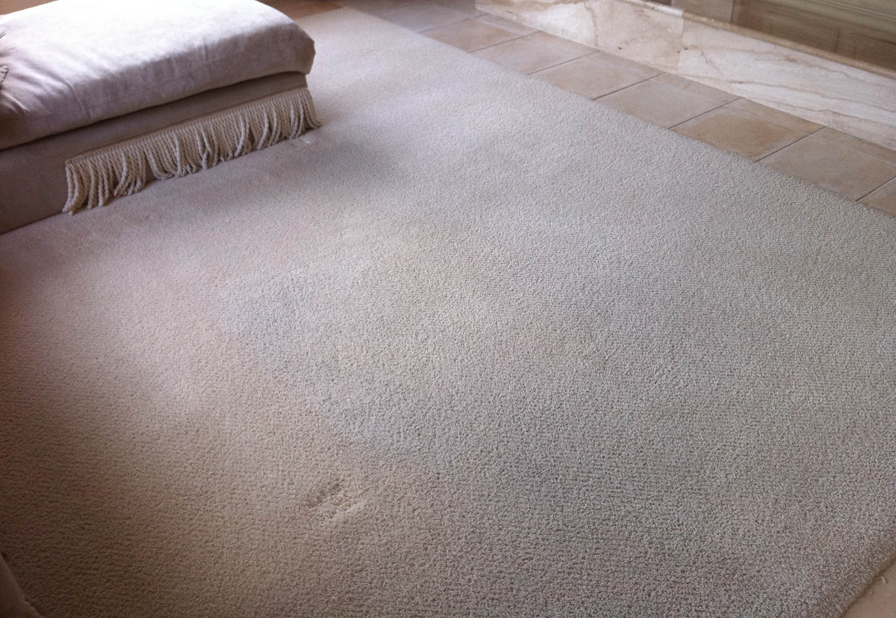 dry in one hour carpet cleaning Austin photo