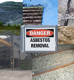 best mold abatement in Chicago