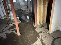 best mold abatement in Chicago photo