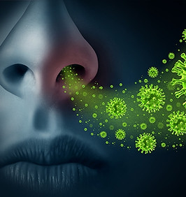 best mold abatement in Chicago photo