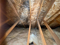 best mold abatement in Chicago photo
