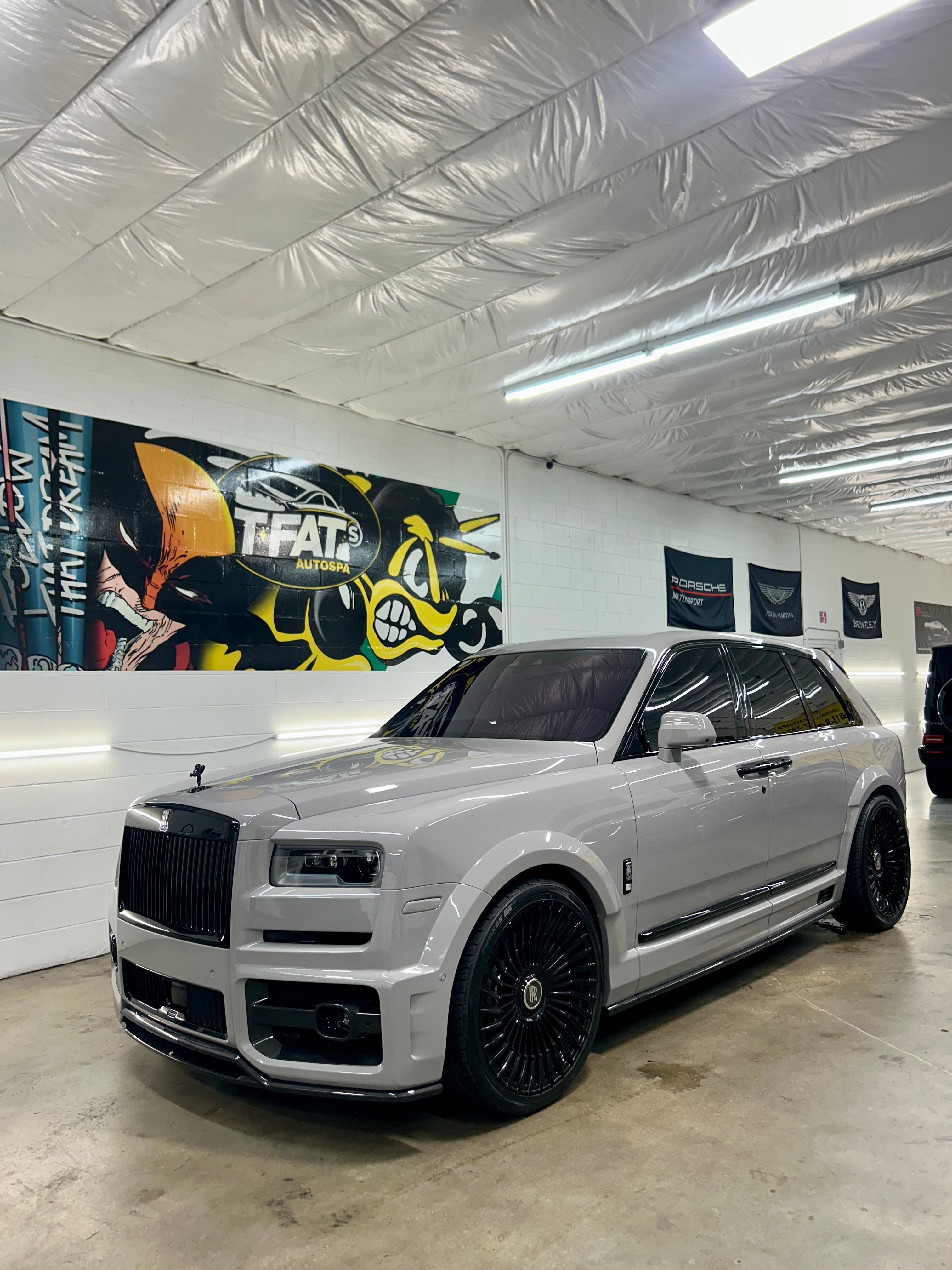paint correction specialist Brandon photo