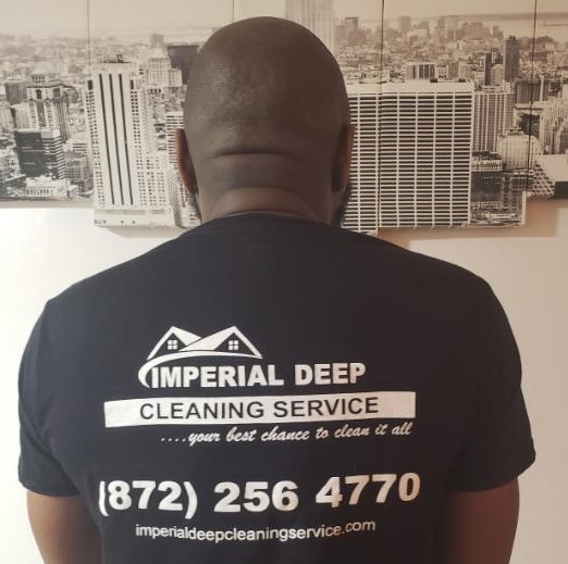 affordable deep cleaning Chicago, IL