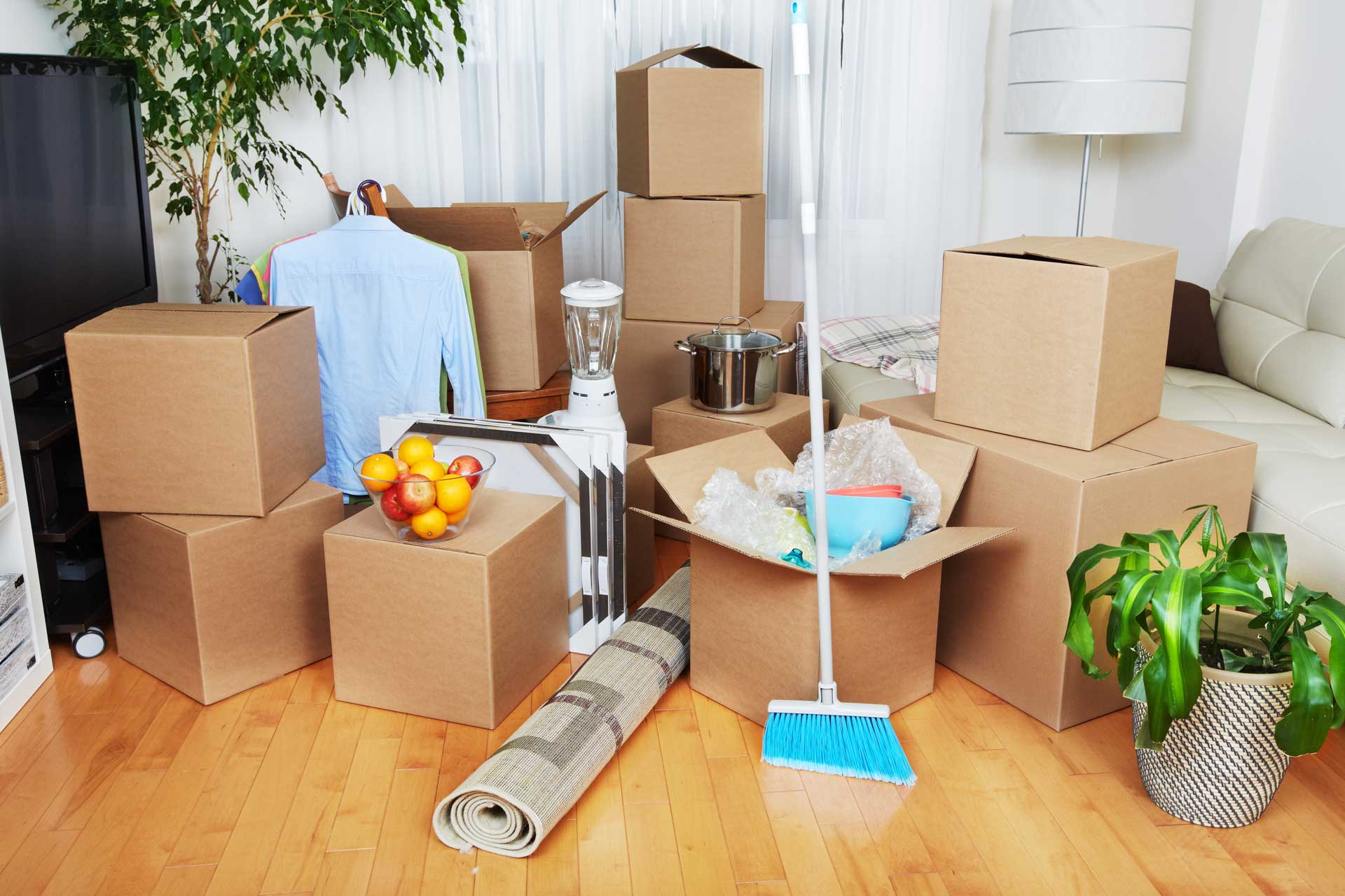 affordable deep cleaning Chicago, IL photo