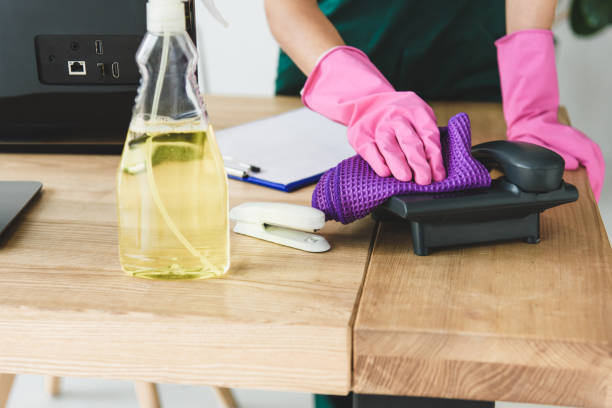 affordable deep cleaning Chicago, IL photo