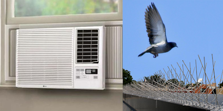 NYC Pigeon Air Conditioner photo