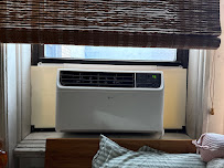 NYC Pigeon Air Conditioner photo