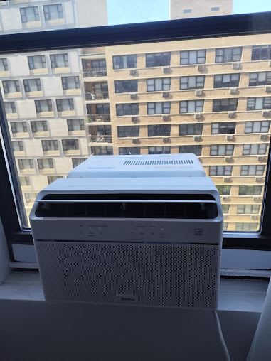 NYC Pigeon Air Conditioner photo