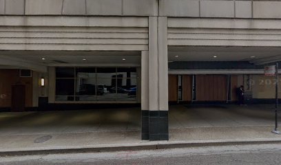 White City Mold Elimination photo