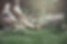best lawn care near me photo