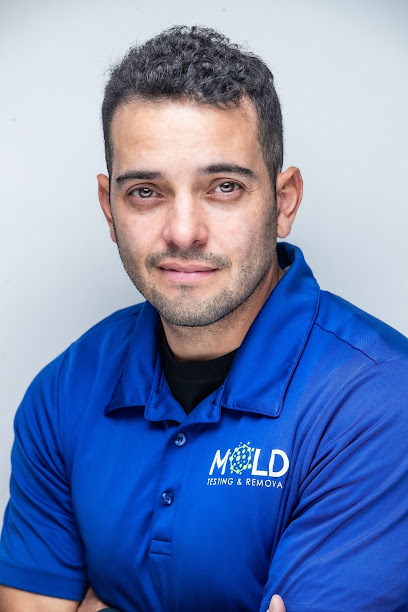 mold removal near me