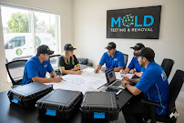 mold spore testing Century City CA photo