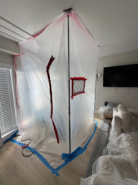 mold spore testing Century City CA photo