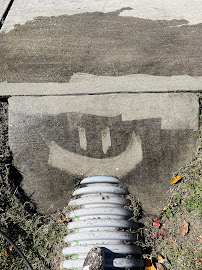 pressure washing in Orlando photo