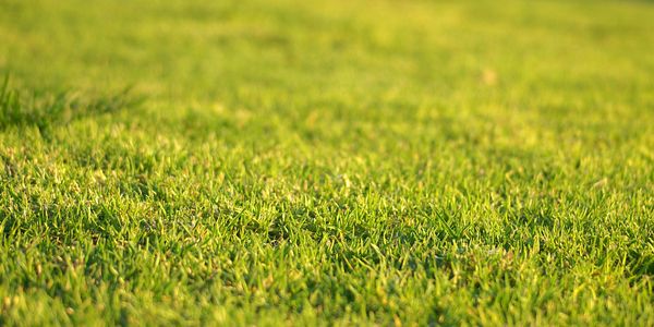 Ab Infinity Lawn Care photo