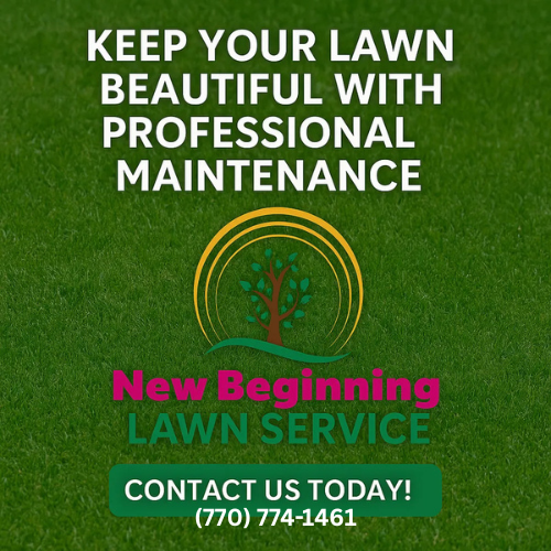 New Beginning Landscape & Remodel LLC photo