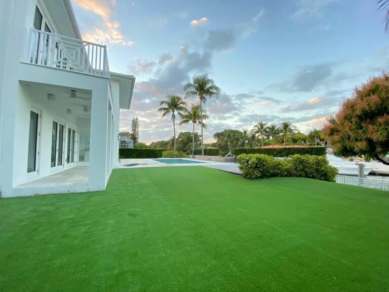 Lawn Guys Mia photo