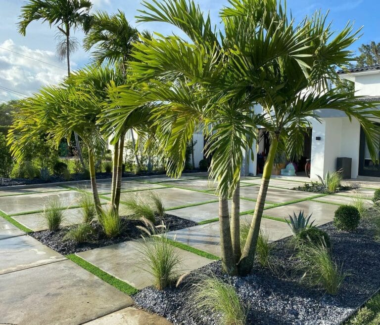 Lawn Guys Mia photo