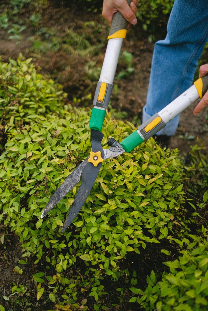 best lawn care company in Miami