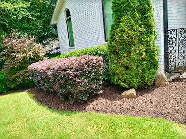 Atlanta Lawn Specialist photo