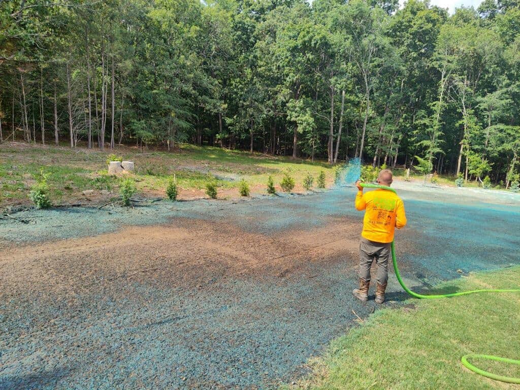 fungicide treatment Atlanta photo