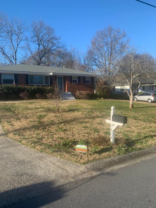 fungicide treatment Atlanta photo