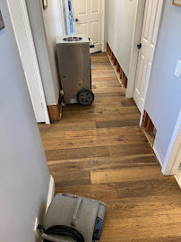 commercial mold remediation San Diego CA photo