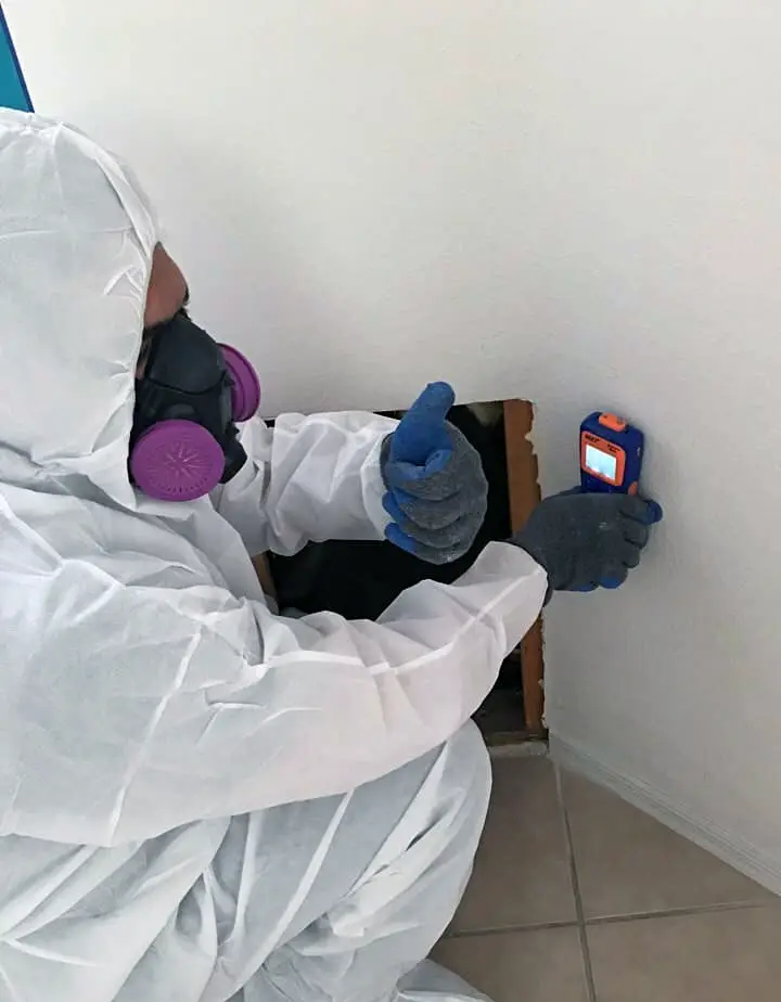 best restoration company in Las Vegas photo