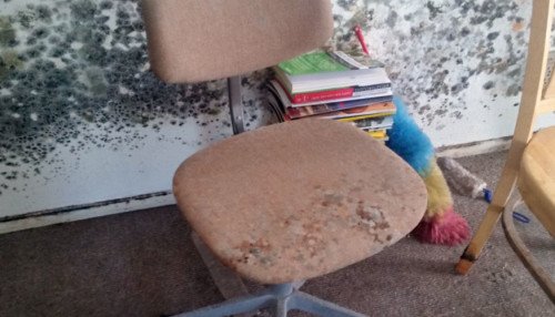 mold abatement service in Henderson photo