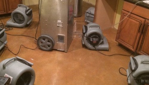 mold abatement service in Henderson photo