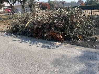 large dumpster Ocoee photo