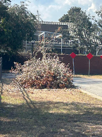 large dumpster Ocoee photo