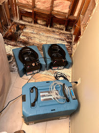 Globofleto Mold Removal photo