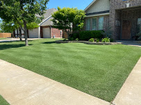 tree and shrub care Dallas photo